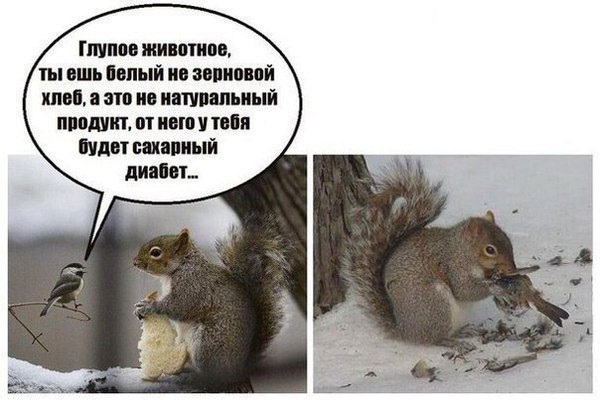 Интересные фото. Next