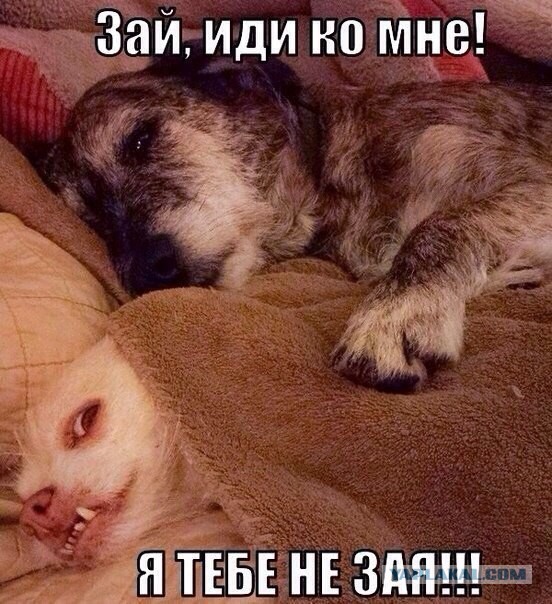 Когда поссорился с женой.