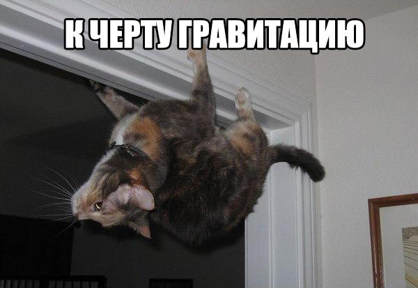 Картинки для поднятия настроения