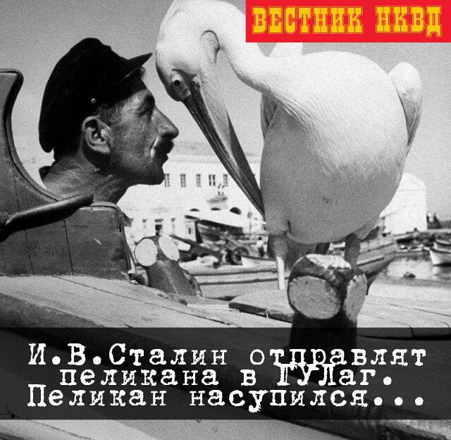 Интересные и редкие ретро-фотографии
