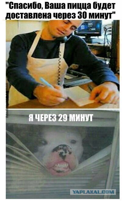 Деградируйте на здоровье