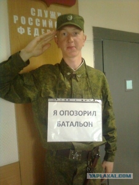 Позорно из соцсетей