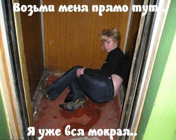 Скотсети и прочие интернеты 26.03.18
