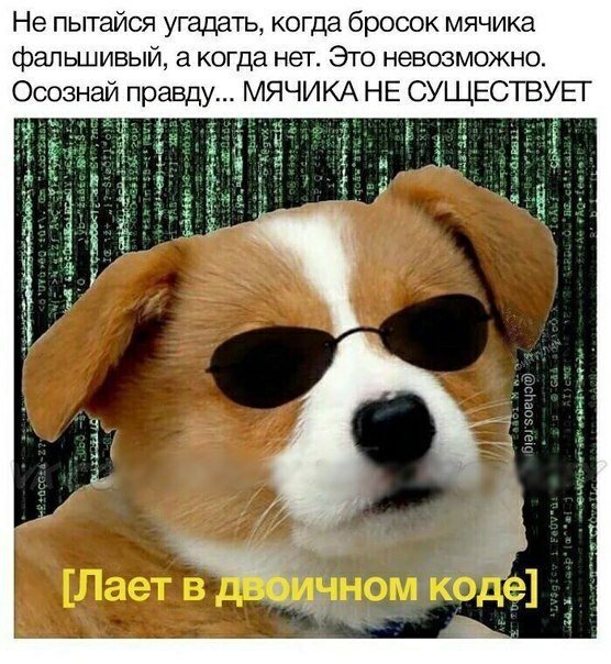 Нестандартный юмор