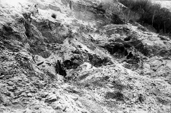 29 сентября 1941 года - начало массовых расстрелов нацистами и карателями из ОУН-М мирных жителей Киева