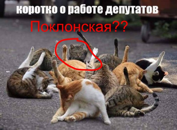 Нестандартный юмор