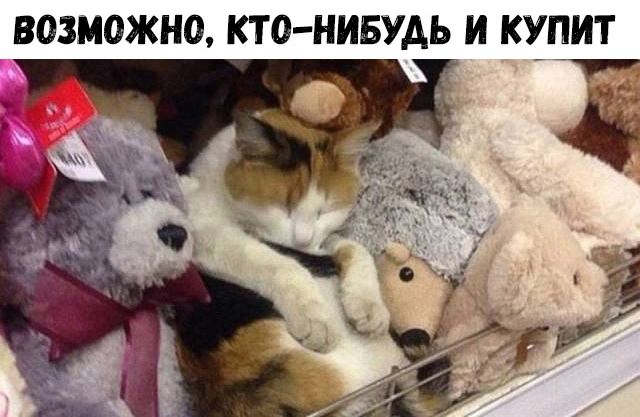 Немного картинок для настроения