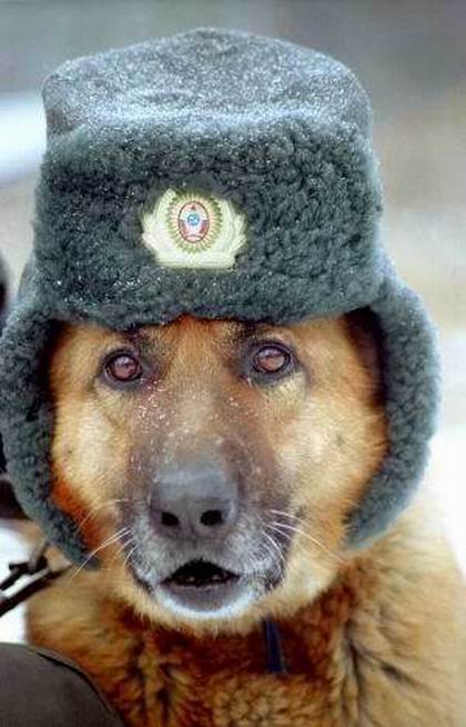 Подборка интересных и веселых картинок 20.02.19