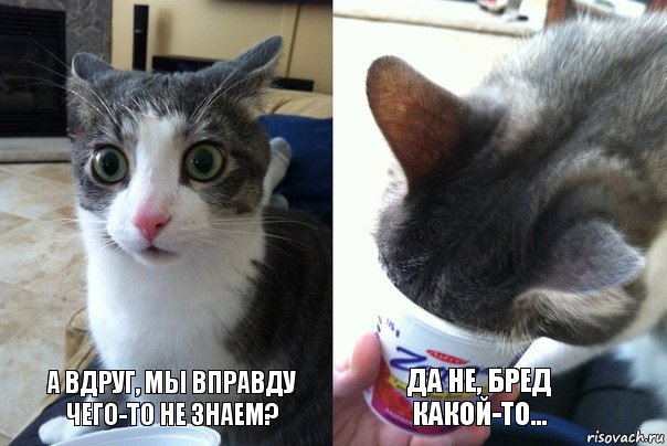 Если ты женат на б**ди!