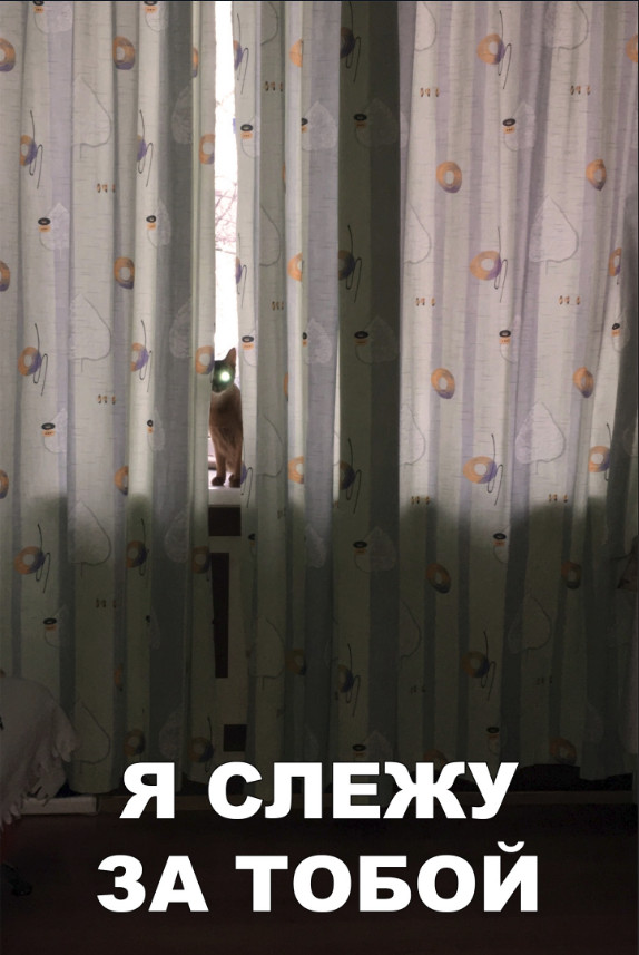 Забавные фото котеек