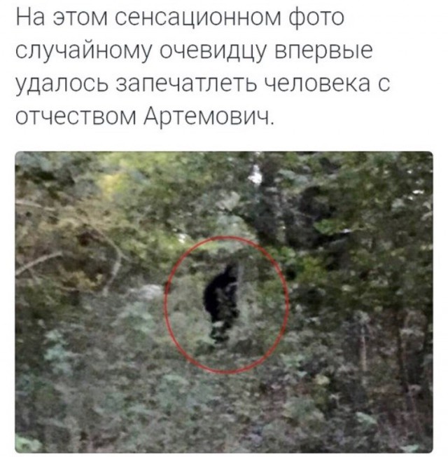Снежного Человека сняли на видео