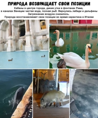 Картинки с надписями