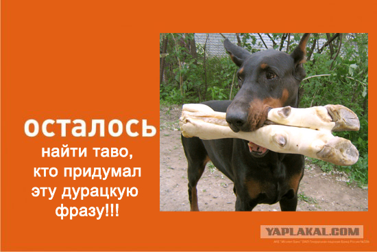 Фотожаба: осталось родить сына?