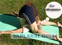 Яблоко не только полезно, но и...