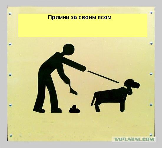 Фотожаба: Собака друг человека