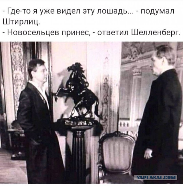 Юмор из соцсетей 13.07.2020
