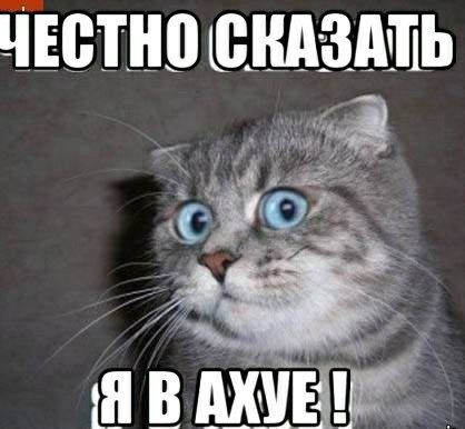 Невозможное возможно