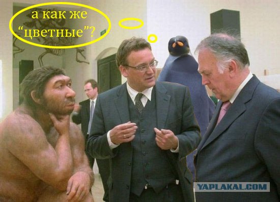 Пингвин - негр