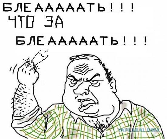 Будь мужиком, скажи что думаешь!