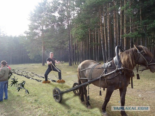 Фотожаба: если б я имел коня...