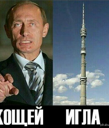 В международной зоне прилёта Внуково установили ширму