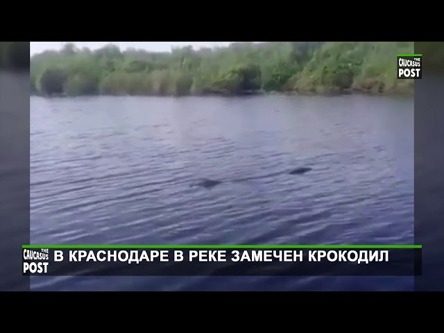 Комменты из Африки