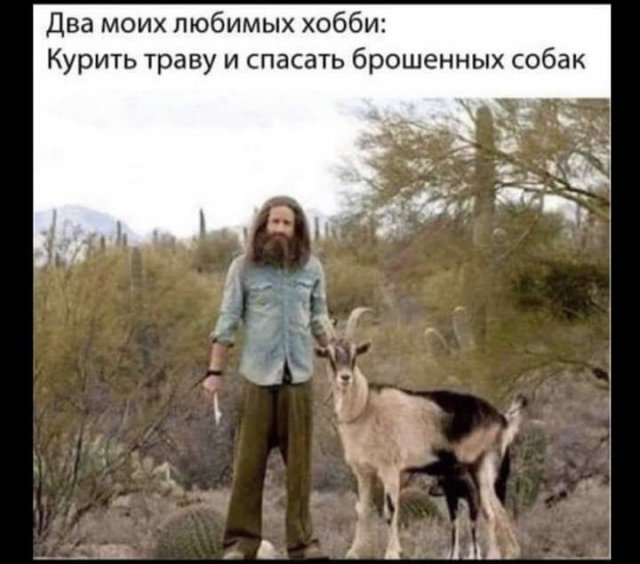 Баянисто-небаянистый юмор 15.06.21