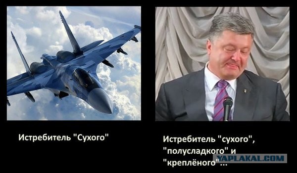 На Украине предложили локализовать в стране производство истребителей Су-27 и МиГ-29