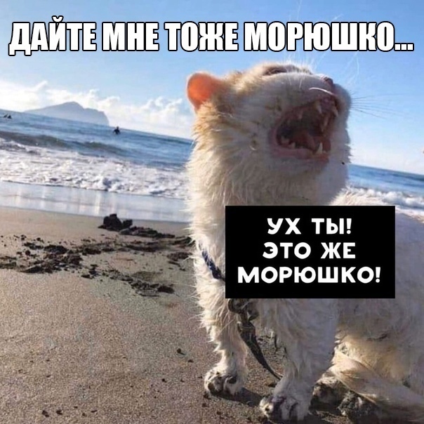 Так себе картинки 15.08.21