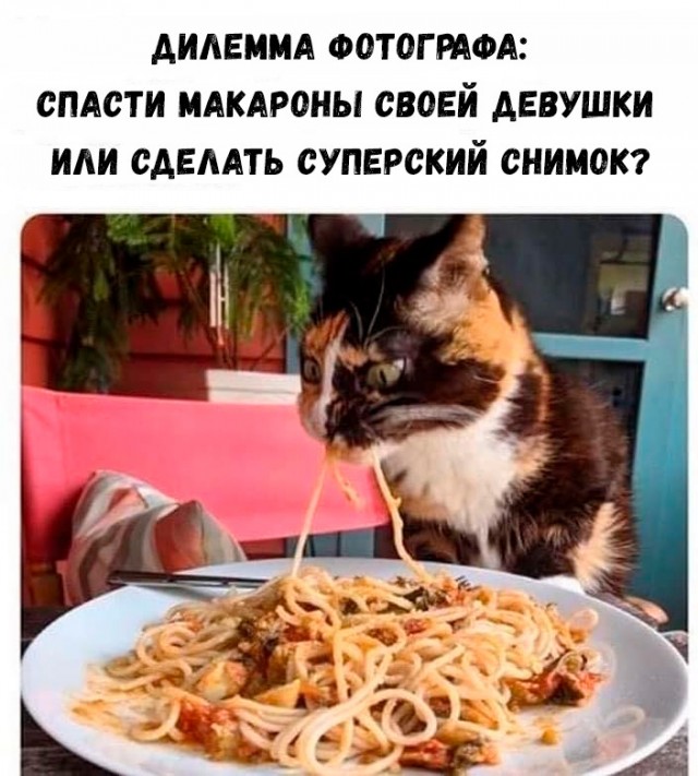 Картинки и мемы для настроения 31.08.2021