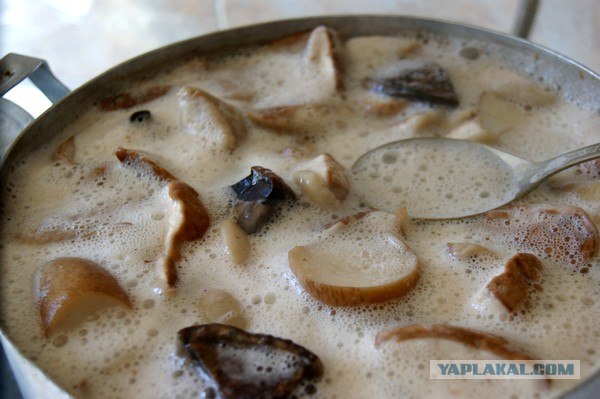 Осень в банках