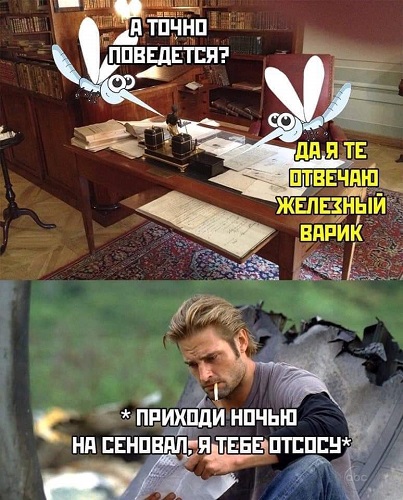 Так себе картинки 11.09.21