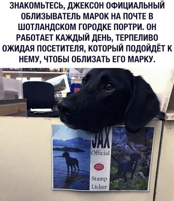 Один шаг и она начнется