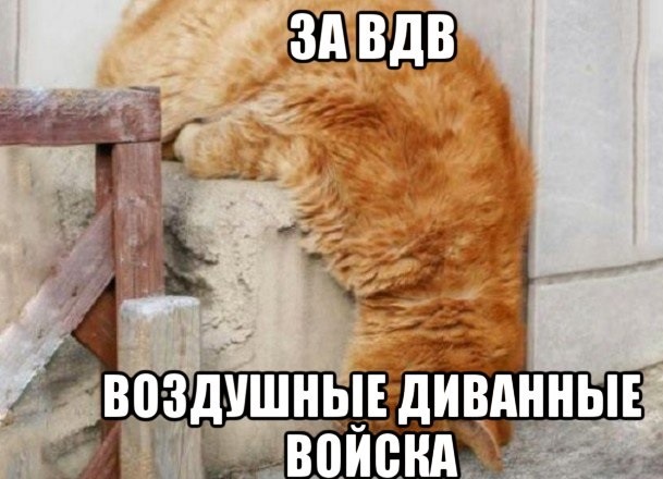 Так себе картинки 26.12.21