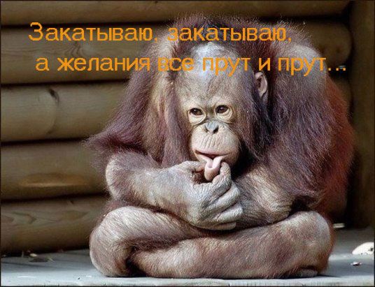 Путин пригрозил Байдену полным разрывом отношений в случае введения новых санкций против России