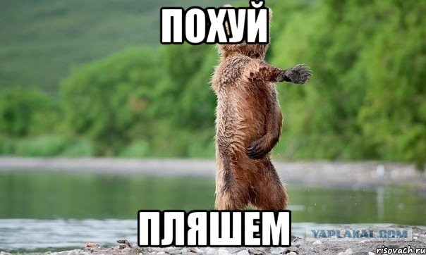 ⚡️ В России прекращает работу компания Zewa