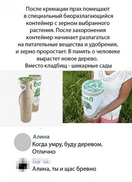 Так себе картинки 02.04.22