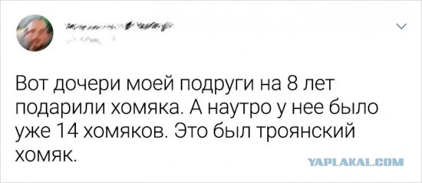 Забавные и веселые картинки