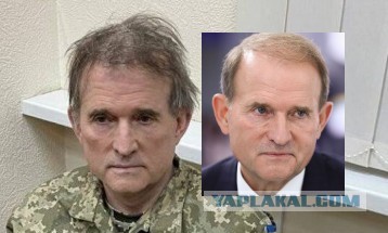 Поймали Медведчука