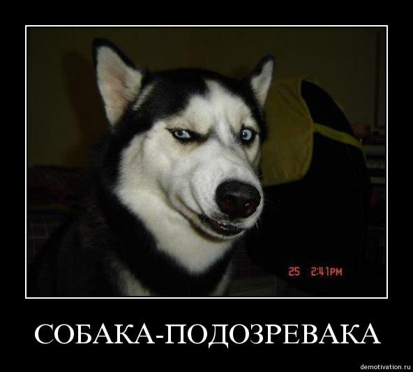 Запас не тянет!
