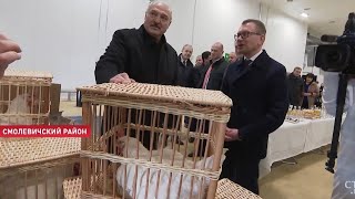 Белорусский ноутбук Горизонт оказался переименованным китайским Itel Spirit 2