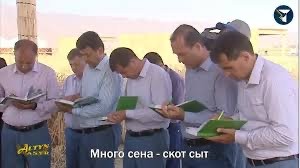 Путин приехал посмотреть, как обрабатывают шишки в Архангельской области