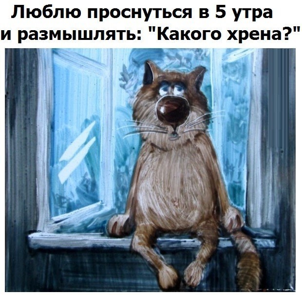 Тематическая подборка картинок (18+)