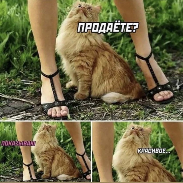 Картинки и мемы, всяко разно - 175
