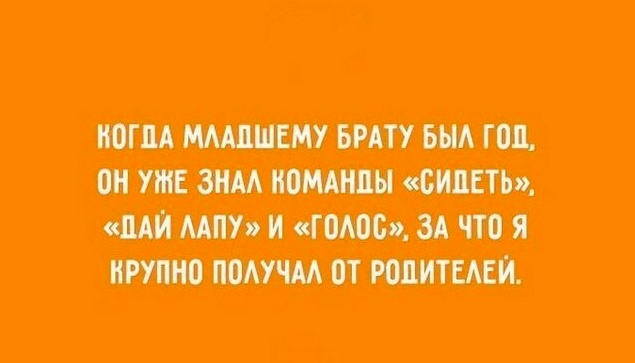 Так себе картинки 17.08.23