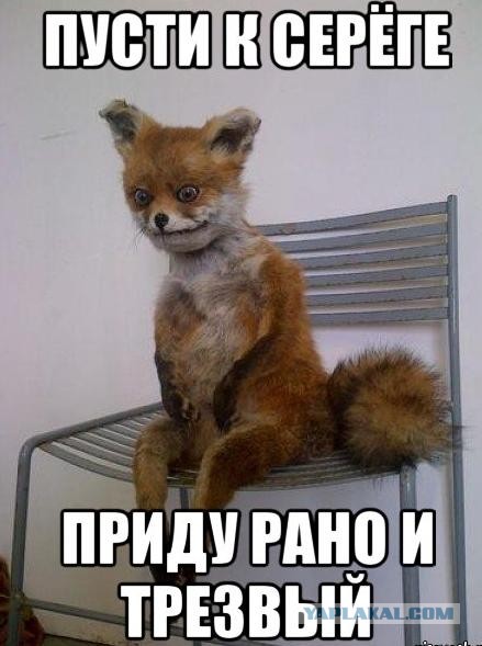 Отпусти к Сереге водки попить!