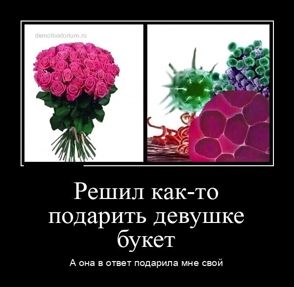 40 мемасиков с е*аньцой, в честь праздничка так сказать