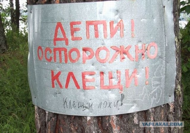 Майские праздники