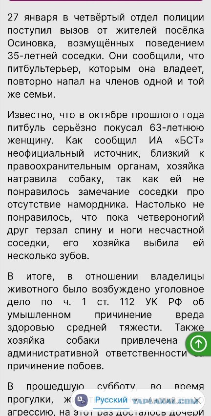 В пригороде Братска люди довольно жестоко избили хозяйку питбуля