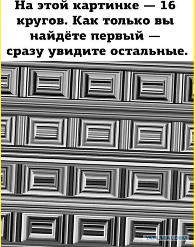 Забавные картинки, шутки из этих ваших интернетов
